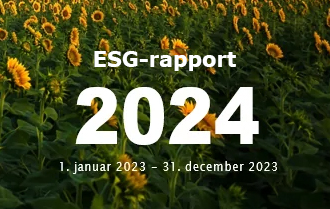 ESG-rapport, stor